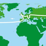 DECLARACIÓN UNIVERSAL DE MÉXICO PARA LA PROTECCIÓN Y CIVILIZACIÓN DE LA VIDA, PARA LA FIESTA DE LA MISERICORDIA